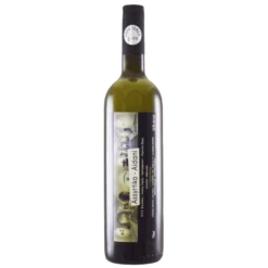 Οινοποιείο Art Space Ασύρτικο-Αϊδάνι 2021