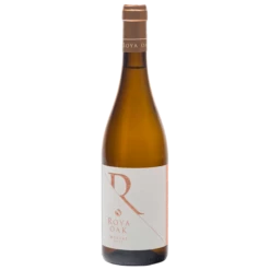 Roya Βαρέλι 2017