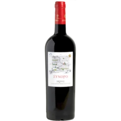 Κτήμα Σκούρας Σύνορο 2019